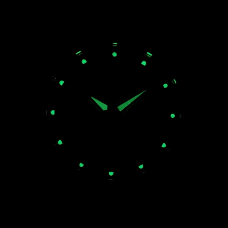 Dạ quang kim và cọc số sáng , dễ nhìn giờ buổi tối